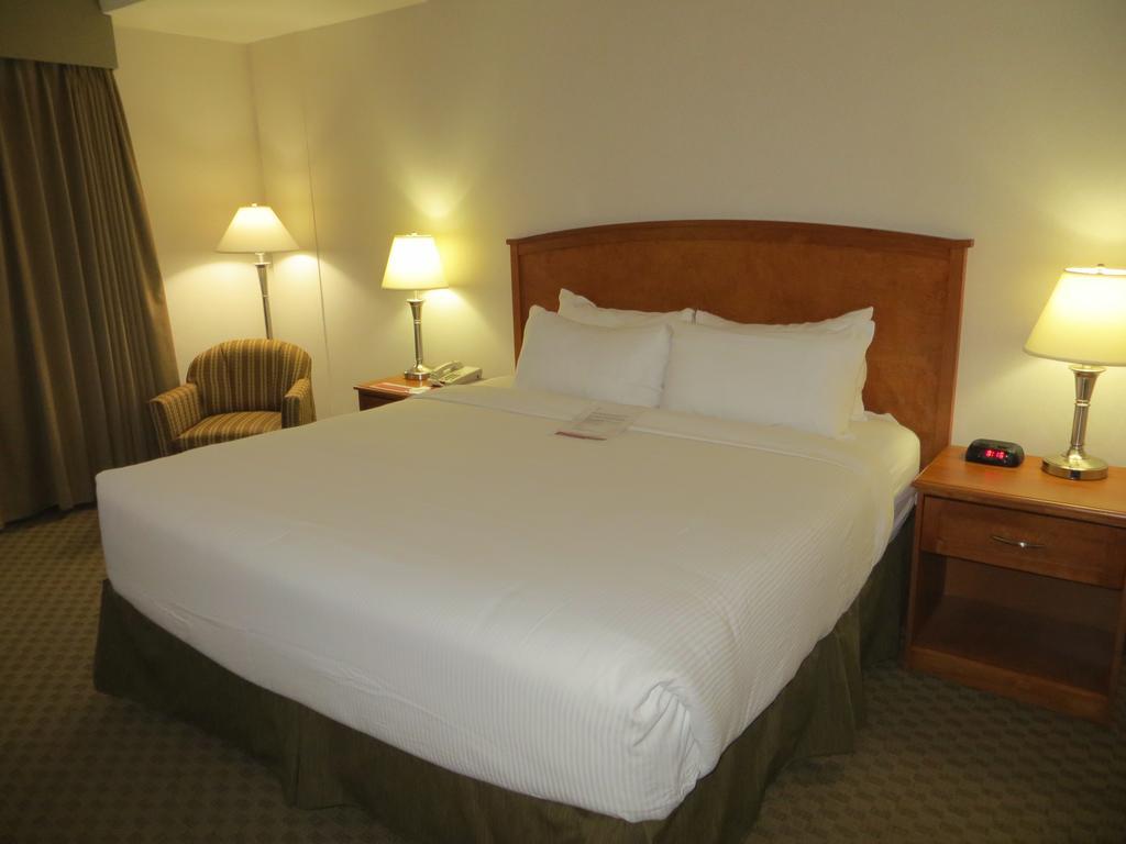 Business King Room